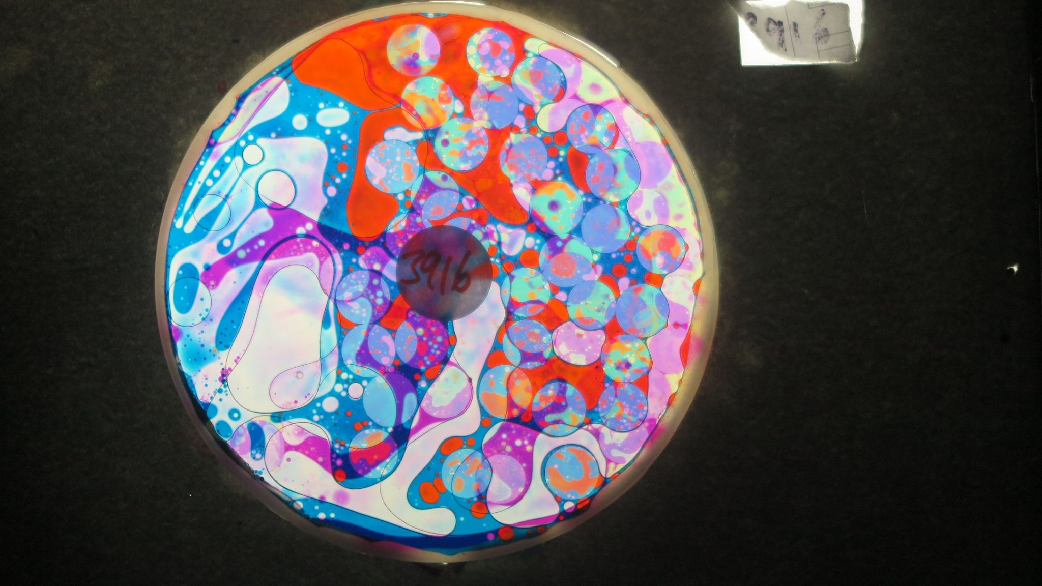 BV3916 bubble vision oil wheel